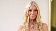 Gwyneth Paltrow (Image via Getty)